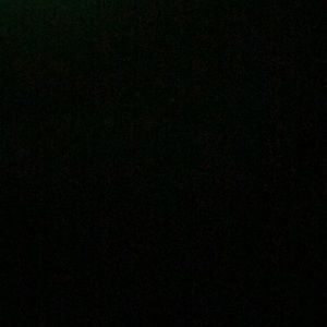 Meet your Posher, Kion